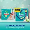 Picture of Pampers All round Protection Pants, Extra Large size baby diapers (XL) 56 Count, Lotion with Aloe Vera