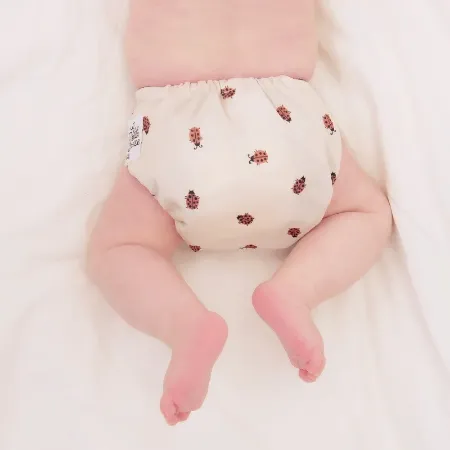 Picture for category Cloth Diapers